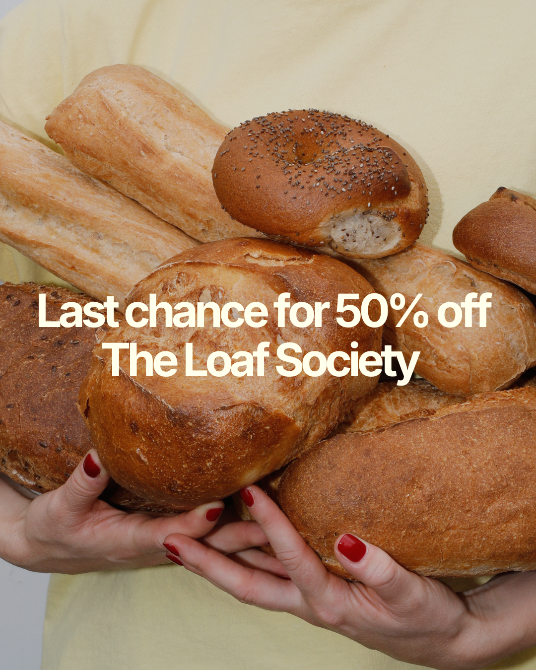 Try The Loaf Society for Half Price