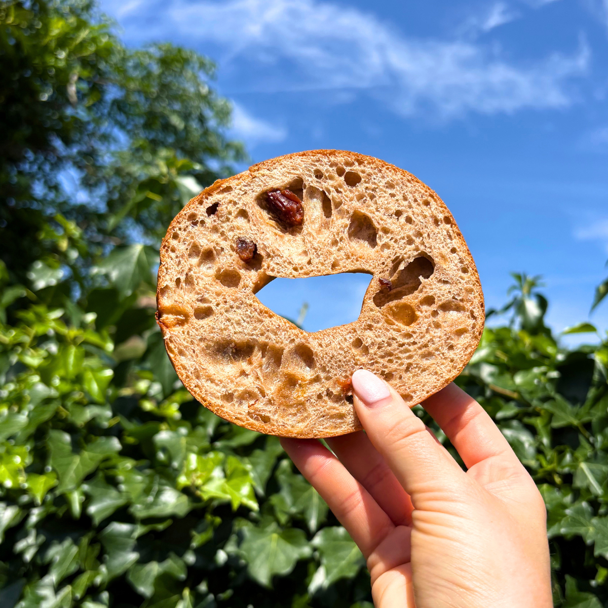 The Cinnamon & Raisin Bagels You Love, Now Made Without Oats